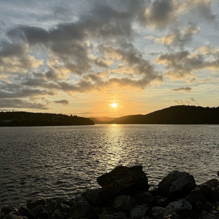 Samridhi Girdhar/The Baron