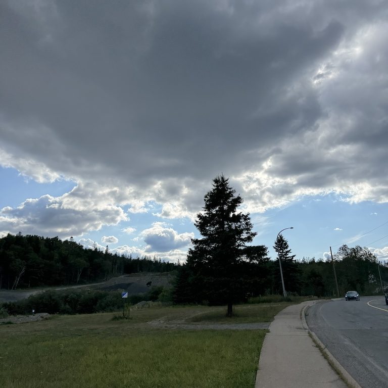 Samridhi Girdhar/The Baron