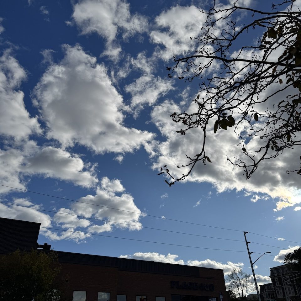 Samridhi Girdhar/The Baron