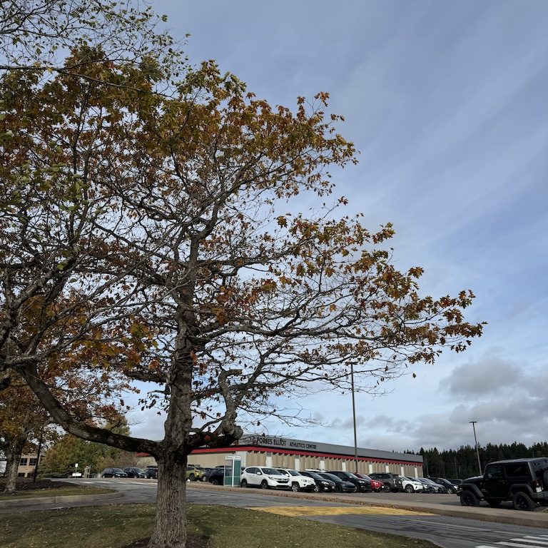 Samridhi Girdhar/The Baron