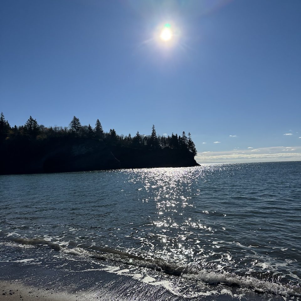 Samridhi Girdhar/The Baron