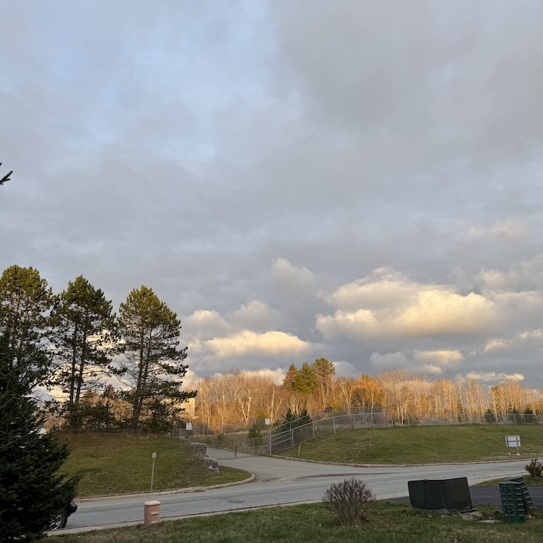 Samridhi Girdhar/The Baron