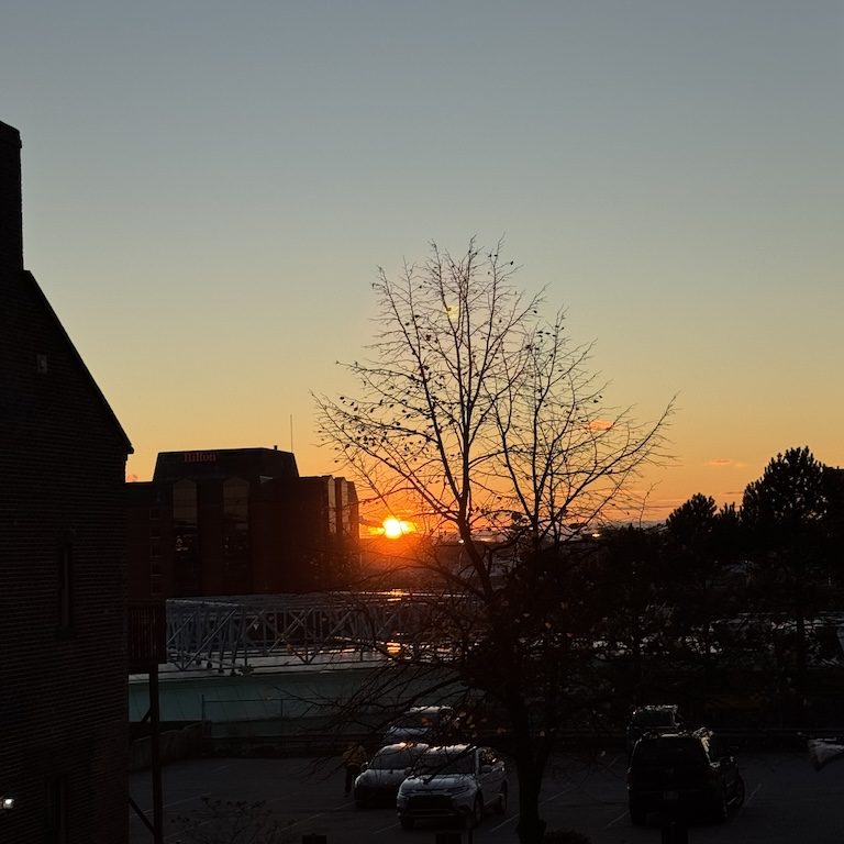 Samridhi Girdhar/The Baron