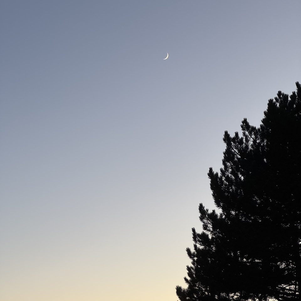 Samridhi Girdhar/The Baron