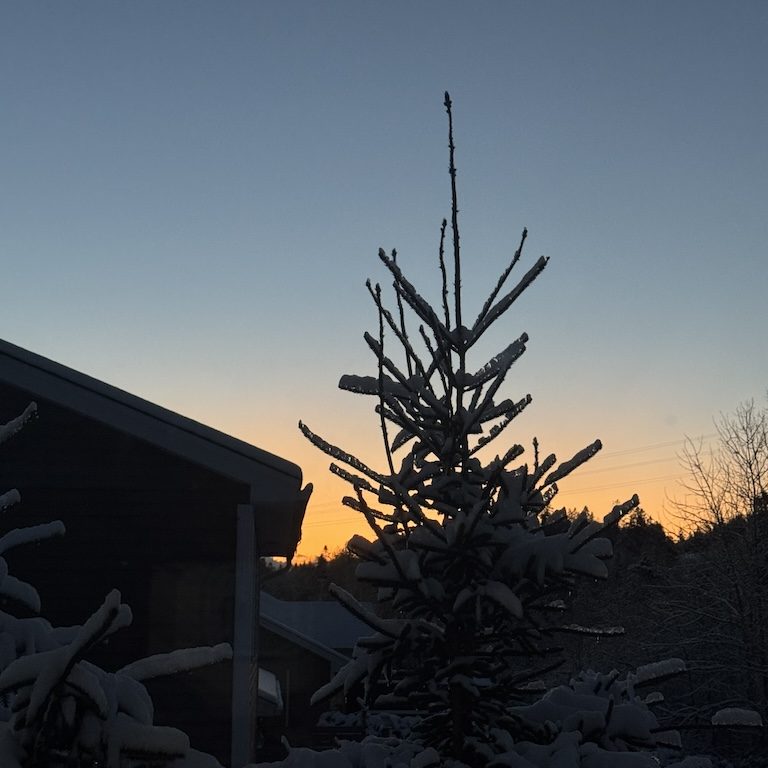 Samridhi Girdhar/The Baron