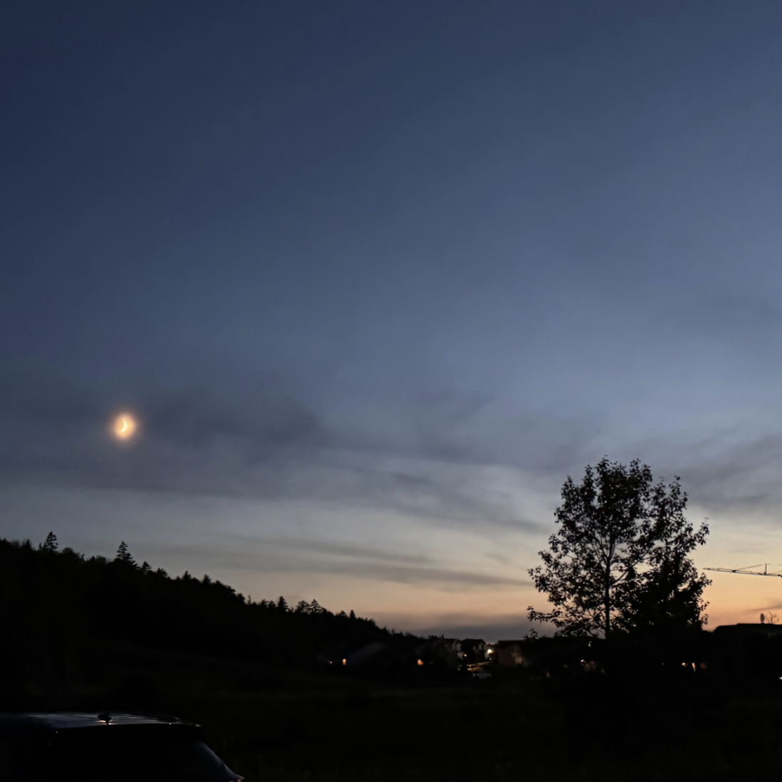 Samridhi Girdhar/The Baron