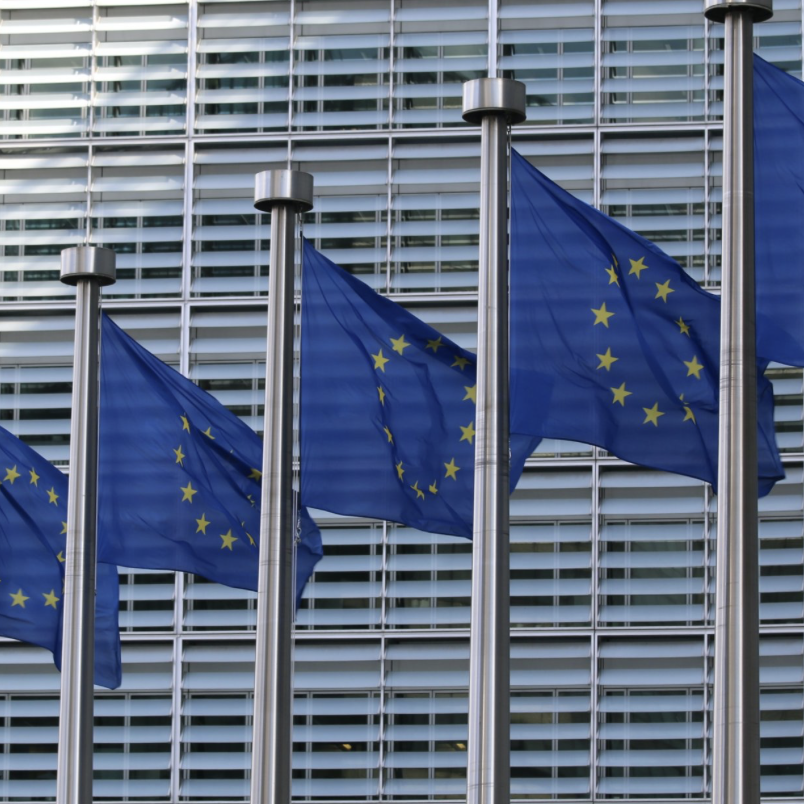 Internation Carbon Action Partnership (ICAP)/Website