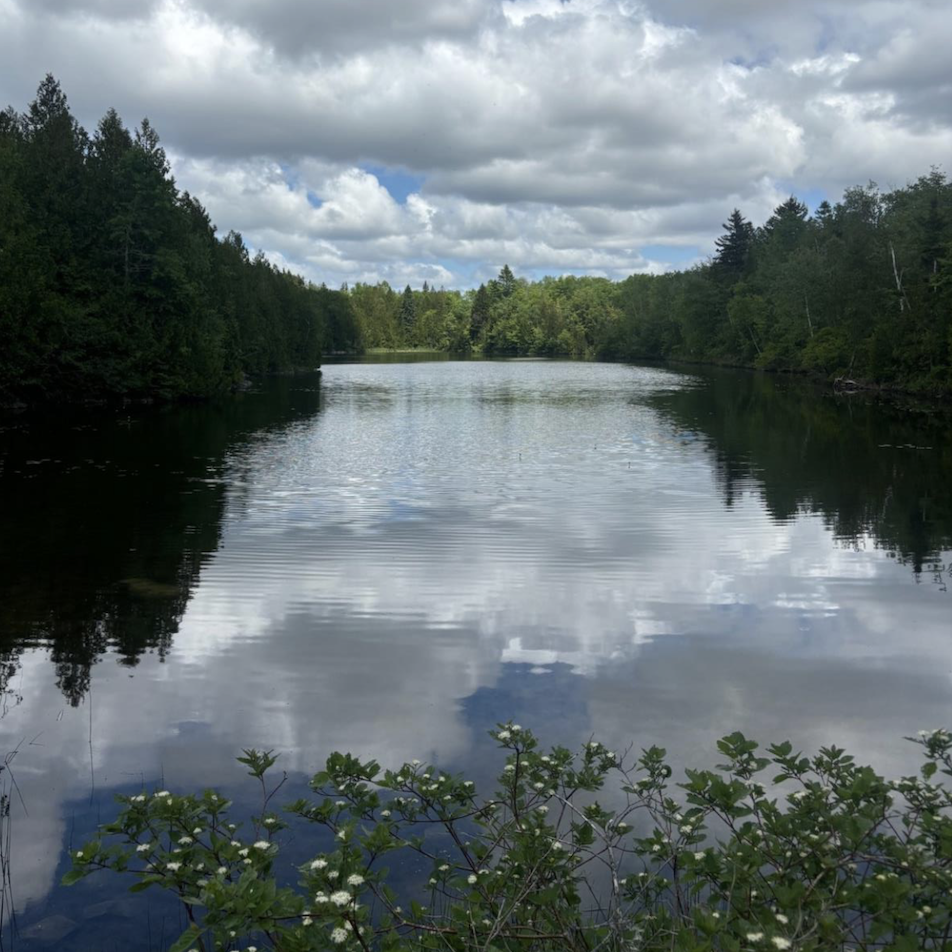 Rockwood Park Trail System (Isabelle Fleming/Submitted)