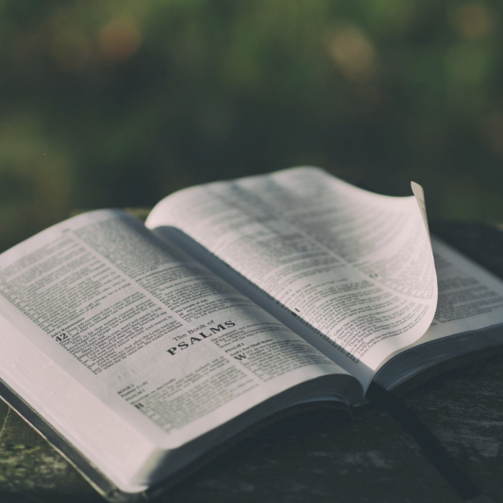  Aaron Burden/Unsplash